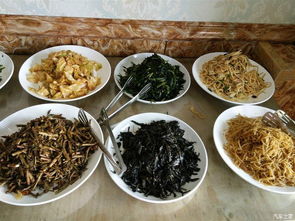 美食探店