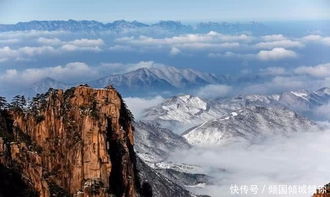 奇松：黄山精神的象征（或者只是树）
