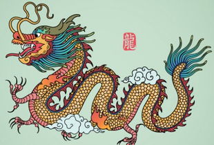 土龙命的含义