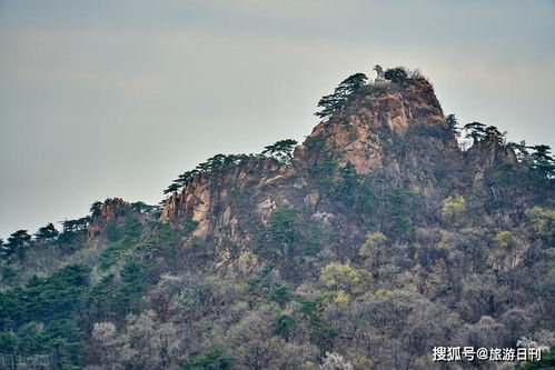 五岳之首：泰山