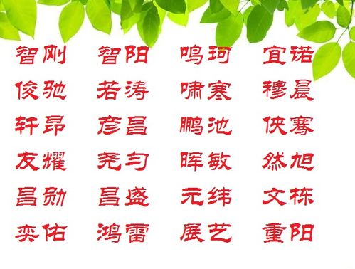单字篇: 看似简单, 实则藏着百万槽点