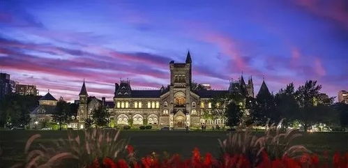 多伦多大学の魔幻之旅