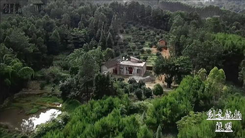 山里坟地,山里坟地