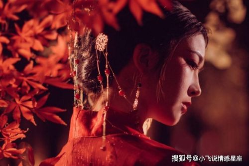 五人结拜诗意名字大全，有没有古风四字的名字推荐？