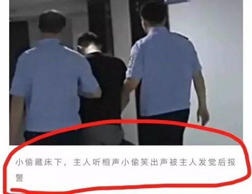 第三章：生肖运势与灾难预警