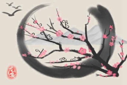 家里摆放干花对风水有影响吗？