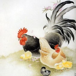 生肖属鸡女性特点和性格分析，生肖鸡女的性格特点具体表现是什么？