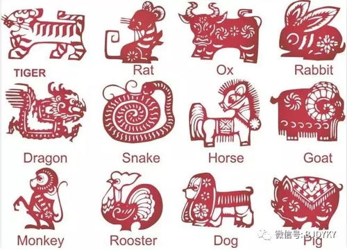 2026年哪些生肖女有可能一夜暴富，又有哪些生肖女有望脱单？