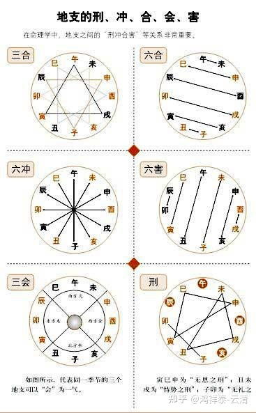 八字中子午卯酉占得比重高，这是否意味着命理中五行相生相克有特殊规律？