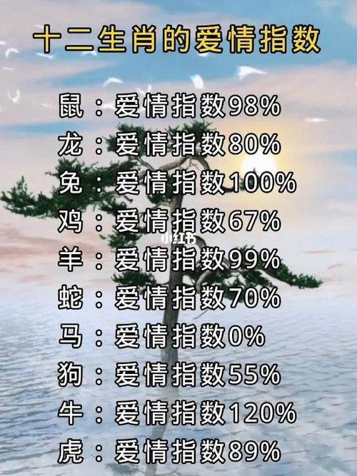 第三章：偷偷告诉你一个秘密