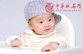 1、 乱用网上起名打分系统：缘木求鱼