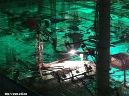 ⑥ 噪音混沌段落（请勿模仿）