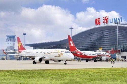 迷雾中的启阳之旅：一场惯与速度与焦虑的博弈