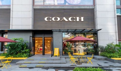 一、 蔻驰：一个让女孩心跳加速的品牌
