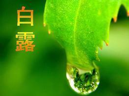 秋社