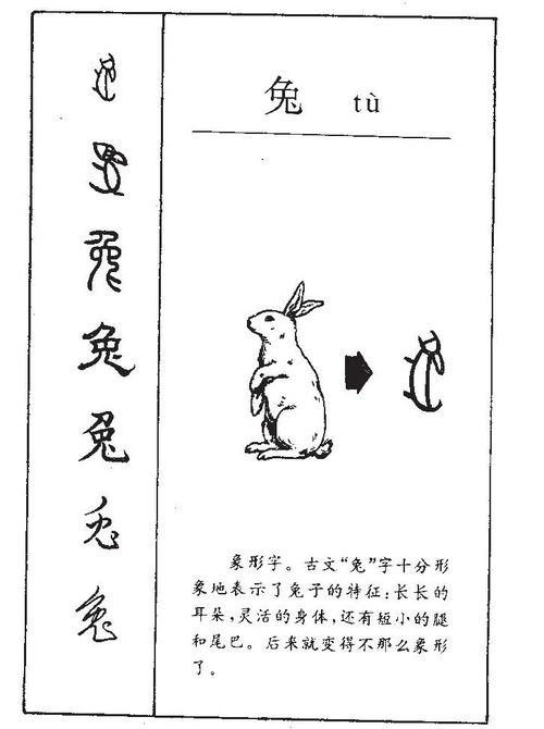 兔起名寓意好，如何改写为吉凶？