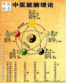 体克用看吉凶，体克是否预示着好运降临？