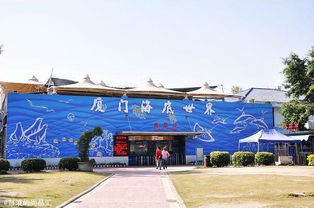 1. 海底隧道：穿梭于鱼群之中