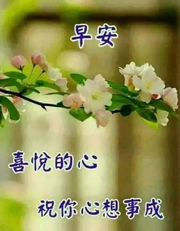 2026年大年初二：一场混沌的生肖星座风水大杂烩