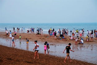 日照潮汐塔：探秘海浪中的秘密花园，网红打卡新地标！