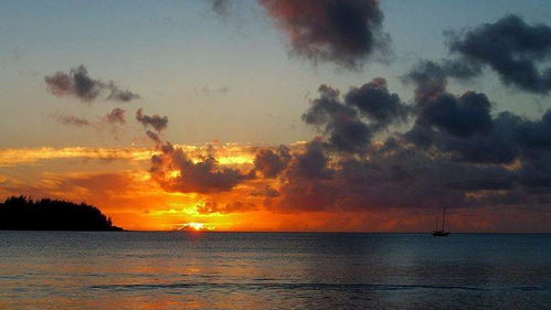 价格陷阱：那些被“一口价”隐藏的真相