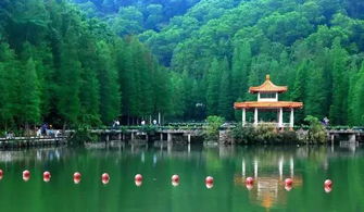 仙湖植物园：探索植物世界之旅