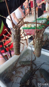 海鲜烧烤：饕餮盛宴