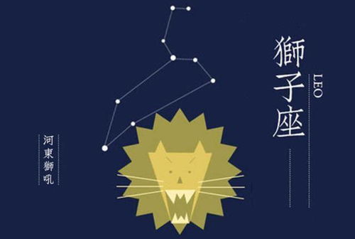2026年属羊狮子座整体运势和属羊射手座运势分别是什么？