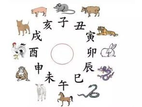 2026年哪些生肖运势不佳，哪些生肖运势最佳？