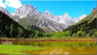 四、 西岭雪山——夏日冰雪奇缘