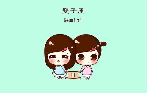 那些年双子座撒过的谎