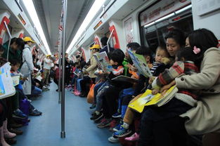 欢乐港湾：排队1小时快乐5分钟