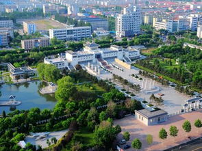 玩到疯癫：当城市社畜变成海滩野人