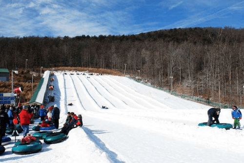 血泪教训：我在滑雪场被当韭菜割