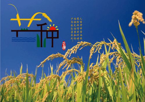芒种习俗揭秘：节气由来与特色活动一览
