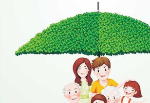 哪个生肖男最孝顺，最懂得疼爱妈妈？