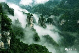 别被二次消费坑了！这些套票才是王道