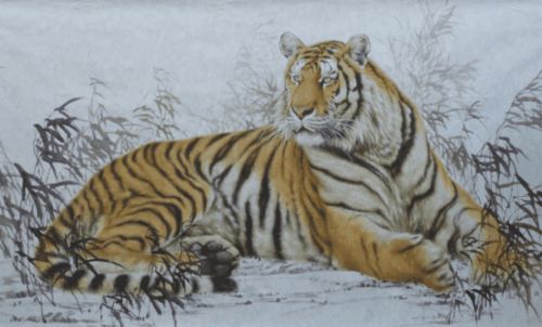 1986年属虎女性在2026年属虎的全年运势和1986属虎女大运流年表具体内容是什么？