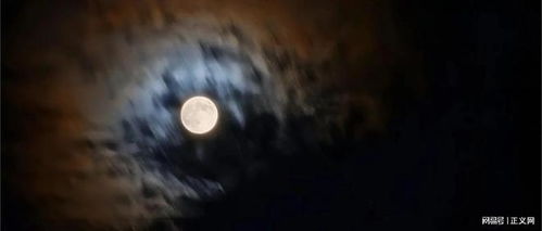 生肖与夜半惊魂