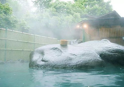 三、 体验锦汤温泉：养生休闲两不误