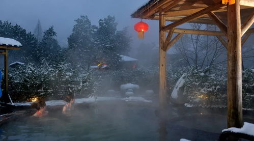 带小森去泡温泉,户外温泉泡池