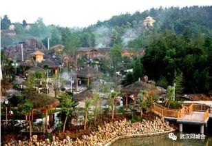 二、凤凰山国家地区森林公园：呼吸崭新鲜空气去~