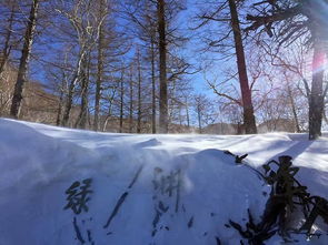 第四站：东北冰雪——别追《冰雪奇缘》， 可能追成《冰冻奇缘》
