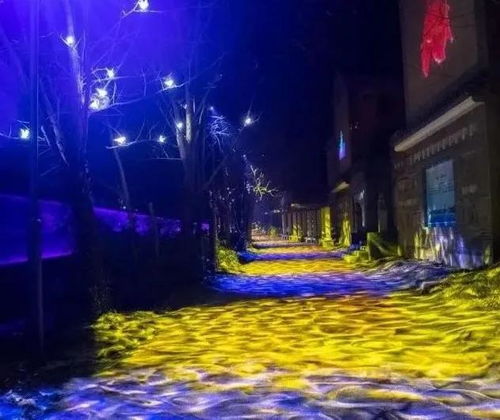 秦皇夜游
