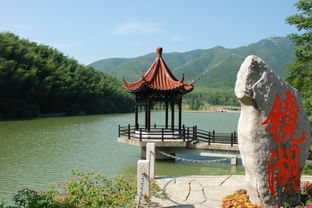 二、 上午：竹海森林浴——不是网红打卡，是野性呼吸