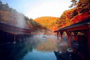 六、日本：别以为只有咱们有氡温泉