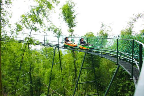 三、 深度游攻略：探寻古蜀文化的秘密（或着是迷路指南）