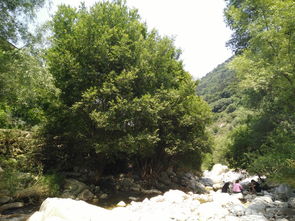 1. 美到窒息的秦岭风景