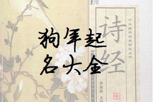案例解析 - 较大师怎样操作？