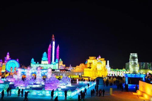 2026年最新魔幻玩法大揭秘